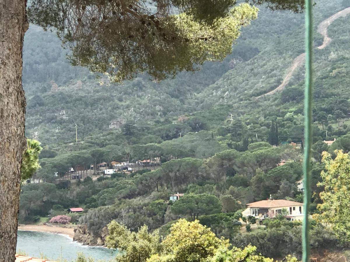 Suosogno Sul Mare 200Metri Dalla Spiaggia Capoliveri  Εξωτερικό φωτογραφία