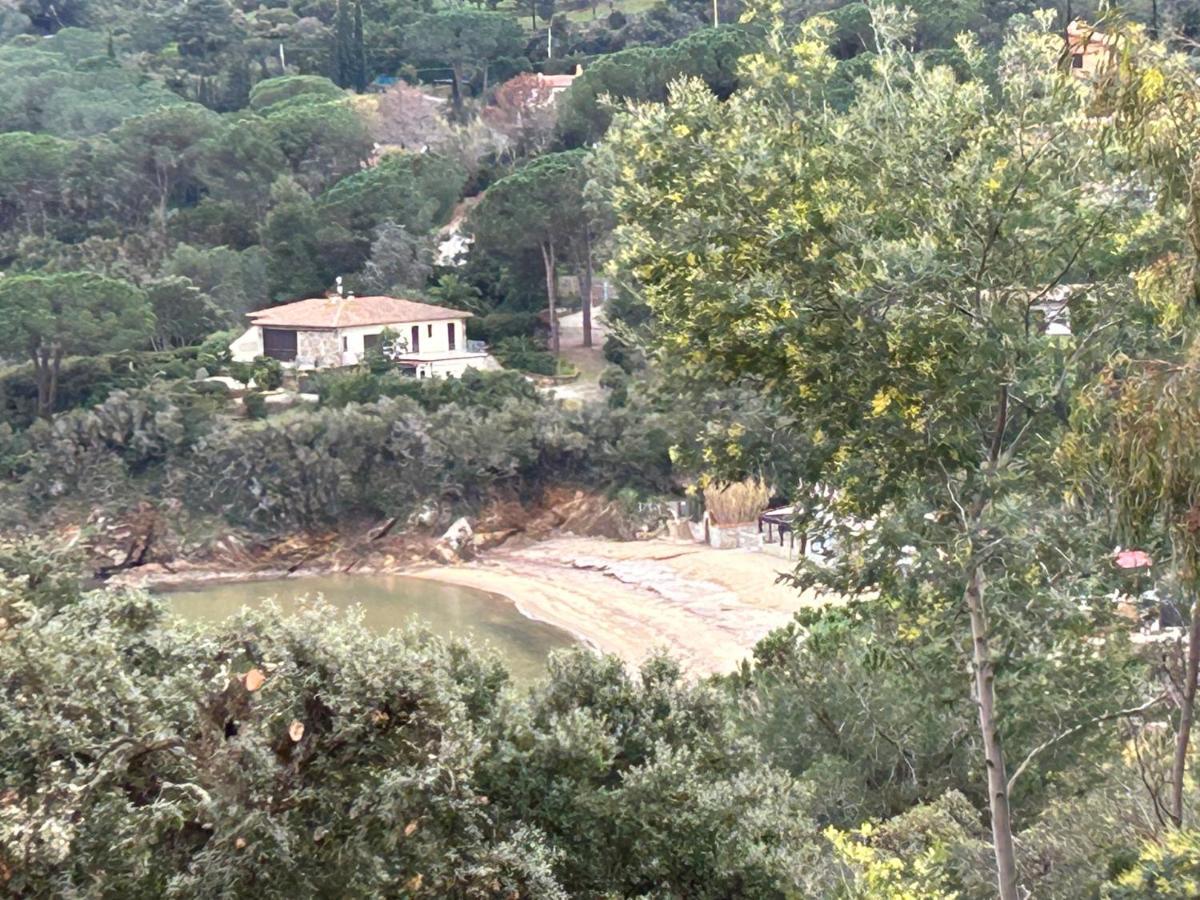 Suosogno Sul Mare 200Metri Dalla Spiaggia Capoliveri  Εξωτερικό φωτογραφία