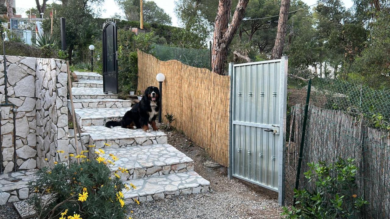 Suosogno Sul Mare 200Metri Dalla Spiaggia Capoliveri  Εξωτερικό φωτογραφία
